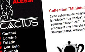 www.cactusrodez.com