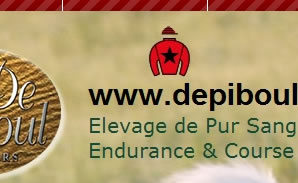 www.depiboul.com