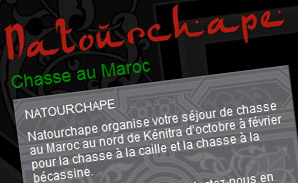 www.natourchape.com